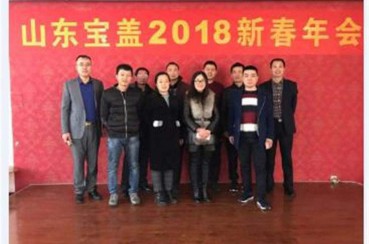 P站PROBURN破解版2018年春節年會