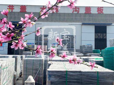 花滿枝頭，春意盎然